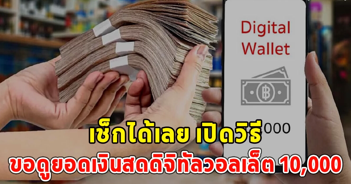 เช็กได้เลย เปิดวิธีขอดูยอดเงินสดดิจิทัลวอลเล็ต 10,000