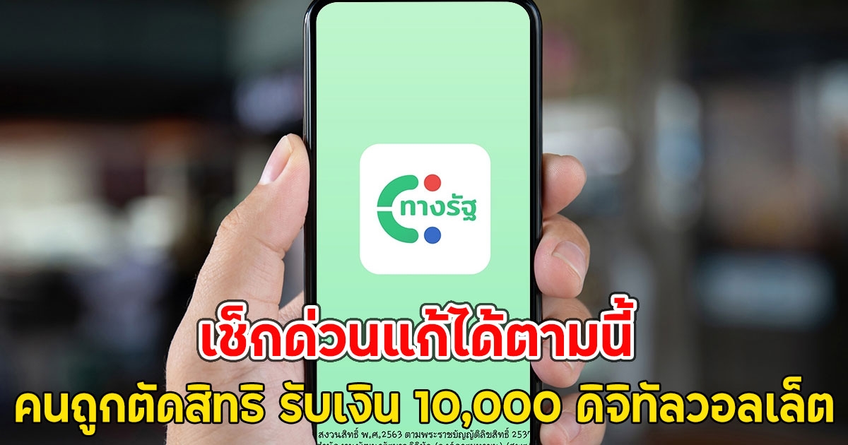 เช็กด่วนแก้ได้ตามนี้ คนถูกตัดสิทธิ รับเงิน 10,000 ดิจิทัลวอลเล็ต