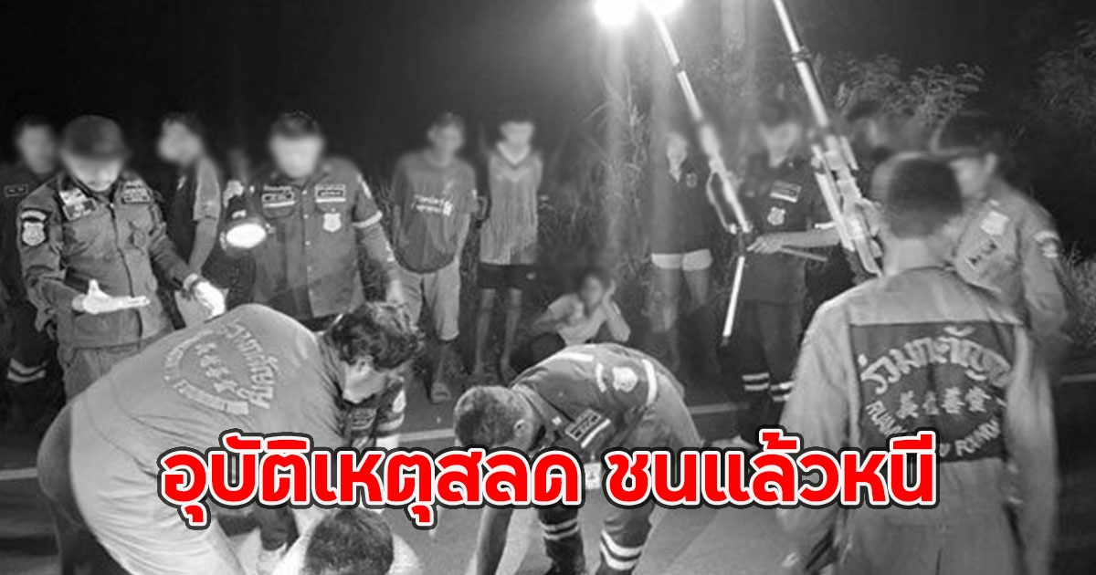 อุบัติเหตุสลด ชนแล้วหนี จนท.รุดตรวจสอบ