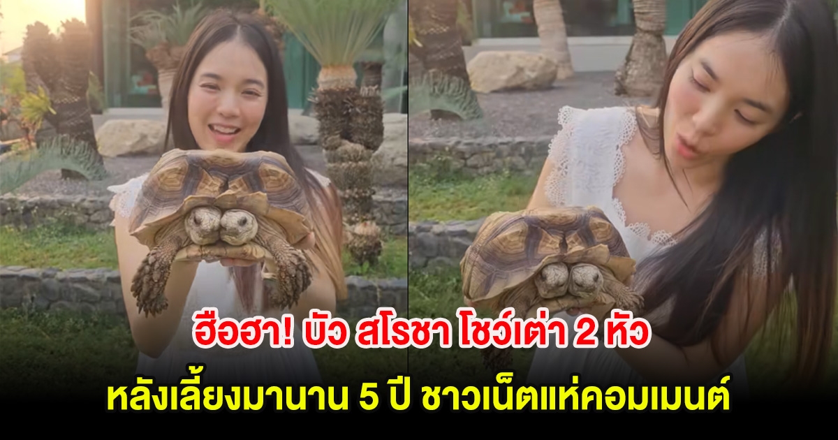 ฮือฮา! บัว สโรชา โชว์เต่า 2 หัวหลังเลี้ยงมานาน 5 ปี ชาวเน็ตแห่คอมเมนต์